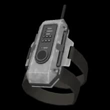 Принты № 2155