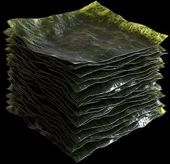 Нори