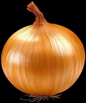 Лук