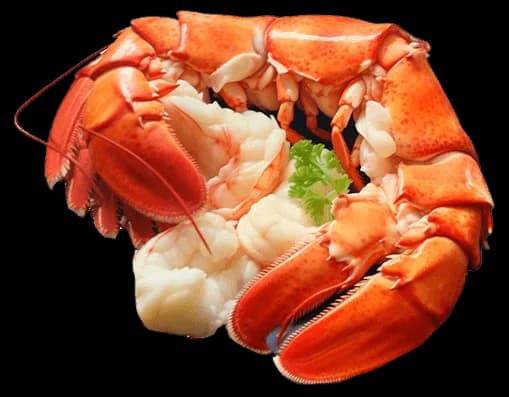 Мясо лобстера