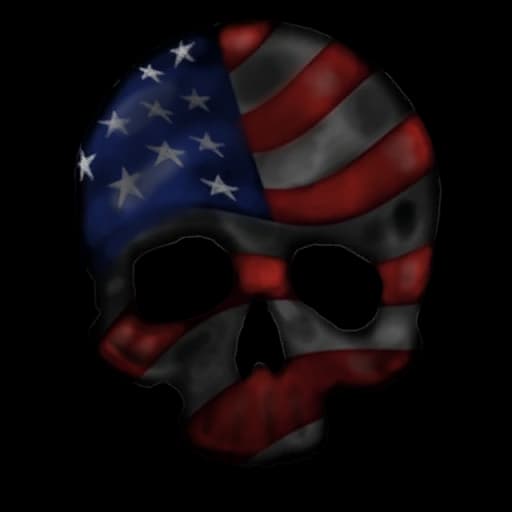 Patriot Skull