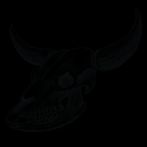 Skull Of Taurus