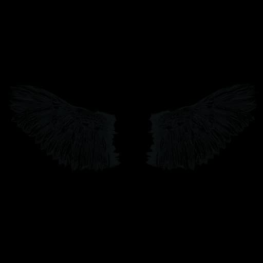 Torn Wings