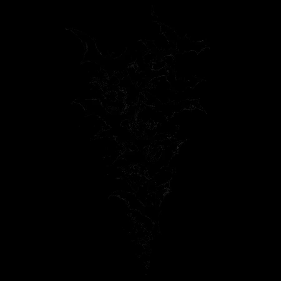 Ночная стая