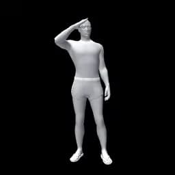 Отдать честь 1