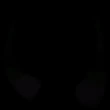 Головные уборы № 2085