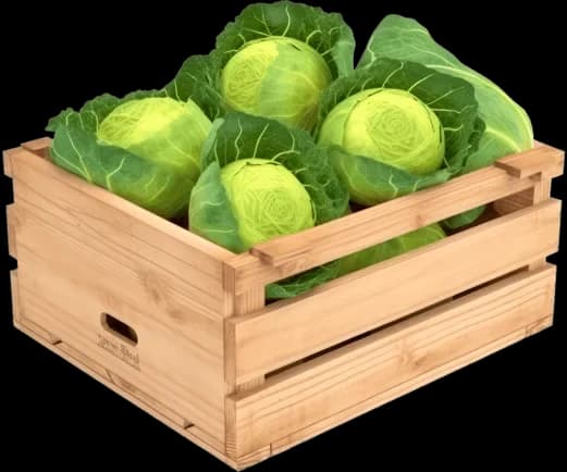Ящик с капустой