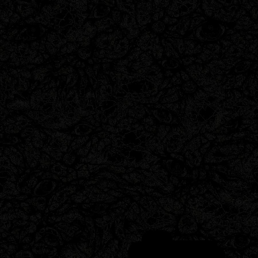 Мрачные колючие следы Blackwork на весь торс
