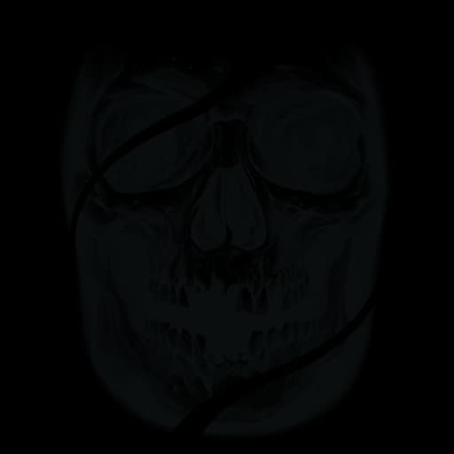 Weathered Skull