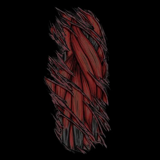 Muscle Tear