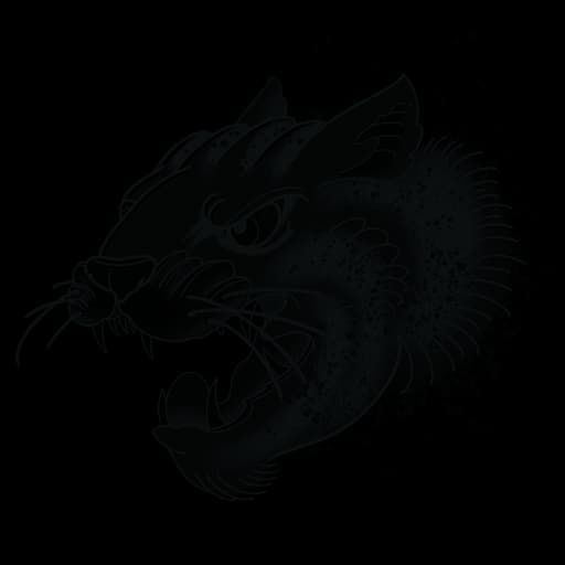 Big Cat