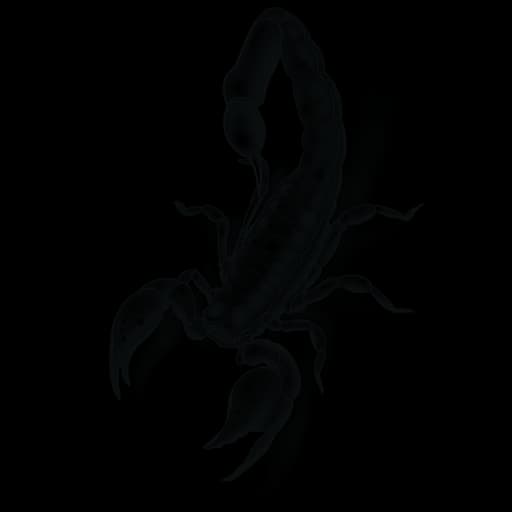 Scorpion