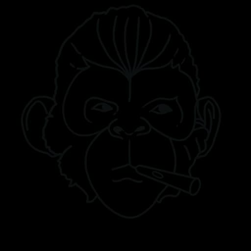 Space Monkey