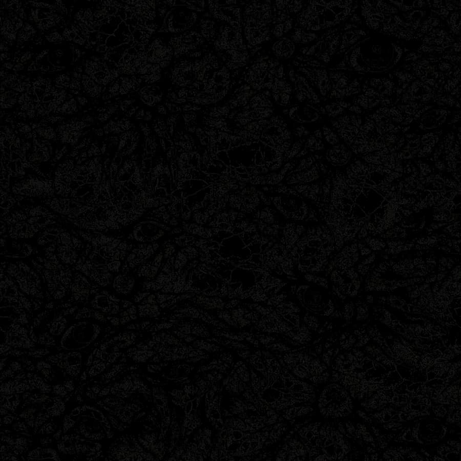 Мрачные колючие следы Blackwork на весь торс