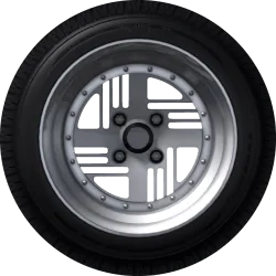 Bradus M-G